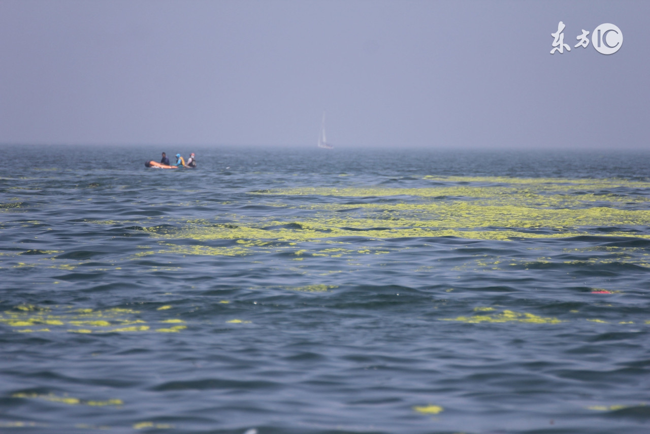 初二下册英语各单元重点语法,初二英语下册人教版精讲
