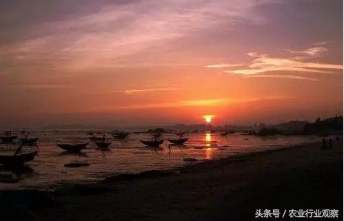 刘强东说农村电商,马云刘强东时期的企业家