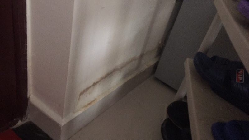 墙体发霉返潮的原因,墙体发霉返碱涂刷