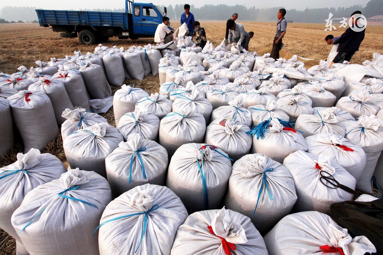 农村农民土地一年有哪些补贴,农民有福了农村这3笔补贴到账