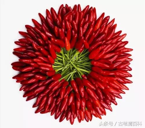 当你吃不了辣怎么办,有什么不能吃辣的借口