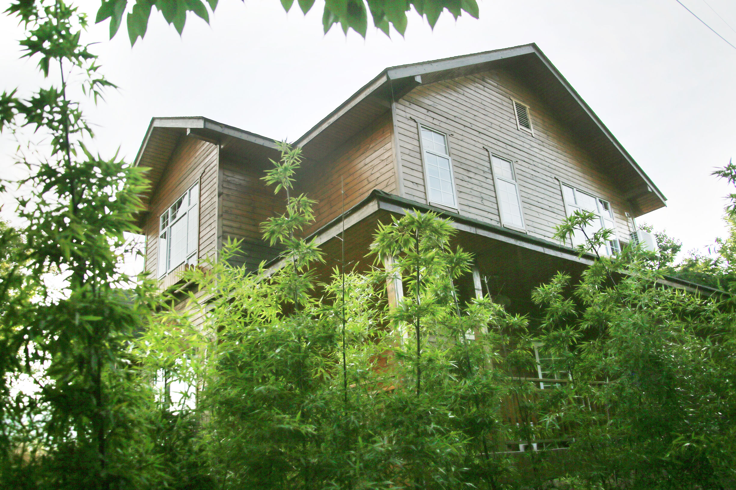 遇见是一种缘分友谊长存,遇见是一种缘分相思是一种情深