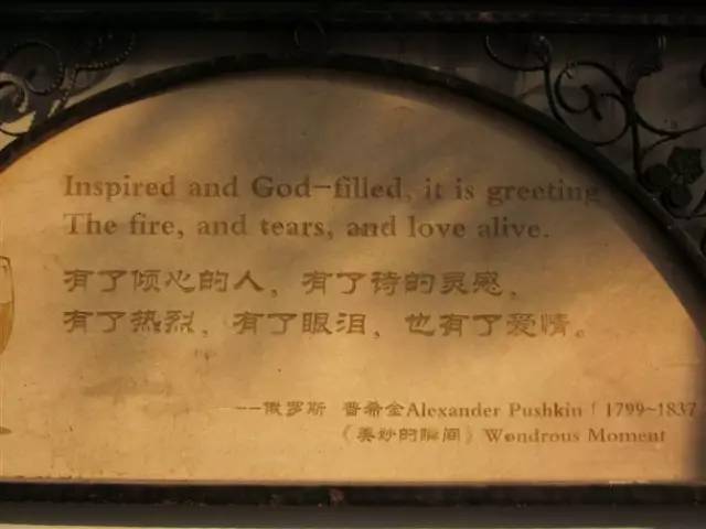 老夫妻上海一日游,上海老夫妻旅游路线攻略