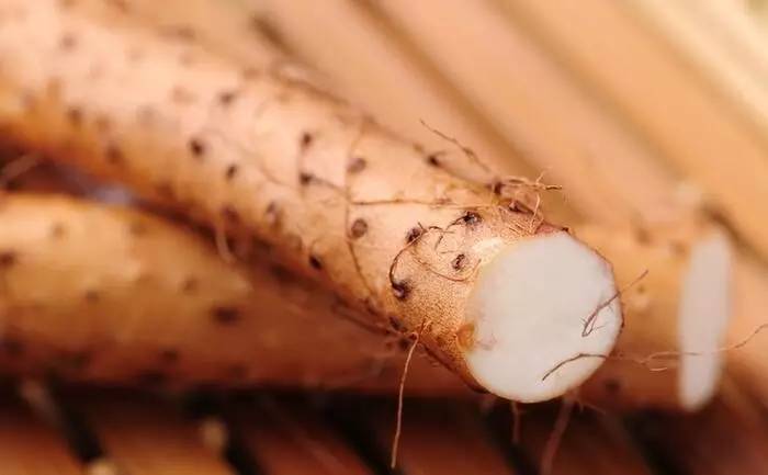 五谷杂粮养生配方大全适合青少年,提高免疫力五谷杂粮粉配方大全