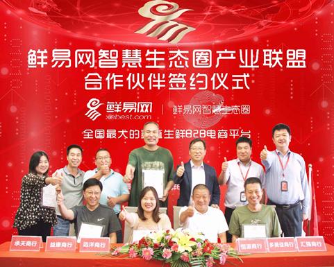 鲜易网生鲜电商,生鲜b2b平台运营方案