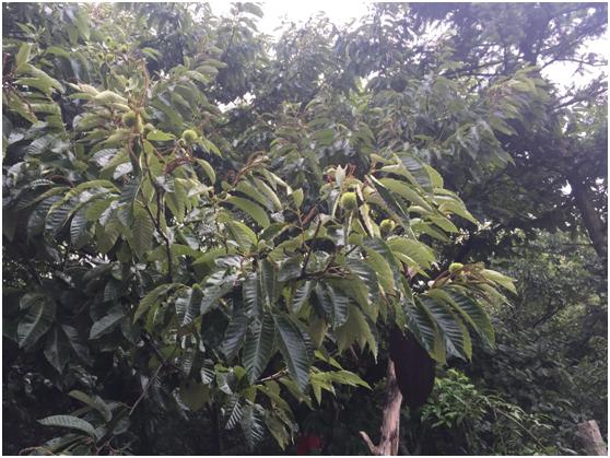 宜兴绿缘山庄度假酒店,宜兴绿缘山庄在什么地方