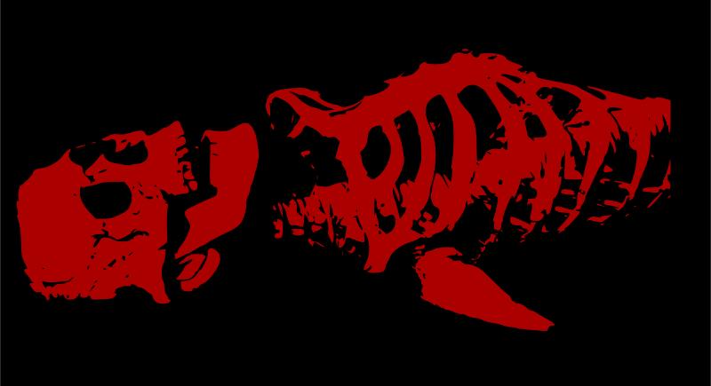 毒的汉字演变,毒的汉字来源