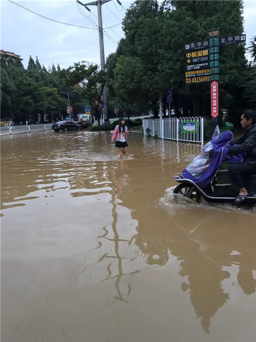 鏆撮洦琚煄韬奖瑙嗛,鏆撮洦琚煄杞﹁締琛屼汉瑙嗛