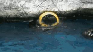 国内最受年轻人喜爱的十大潮牌,最受欢迎的潮牌服饰有哪些