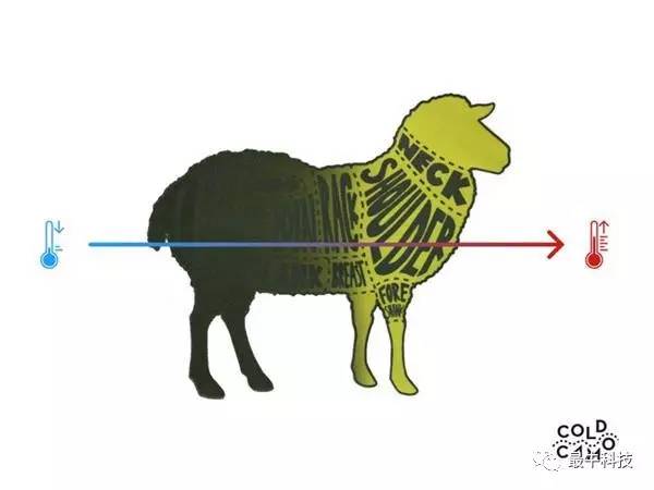 你见过“热了出点汗图案就会变的T-恤吗”