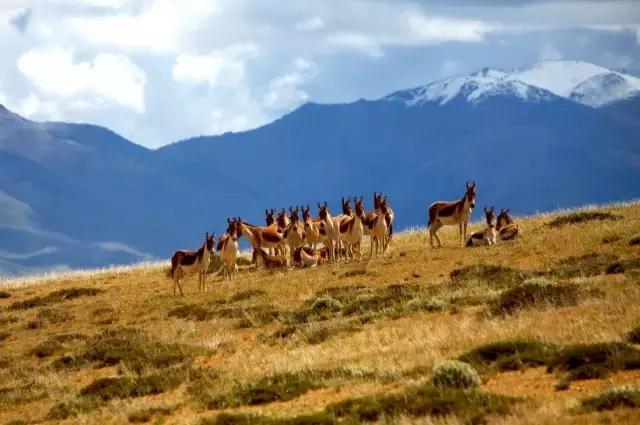 你手机中最舍不得删的视频是什么,你手机最舍不得删的图片