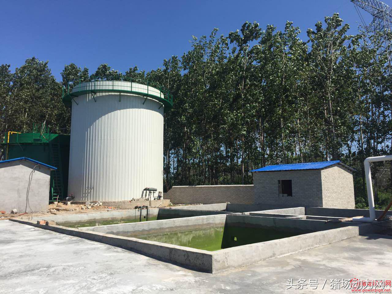 养猪场环保不合格,猪场环保不合格怎么投诉