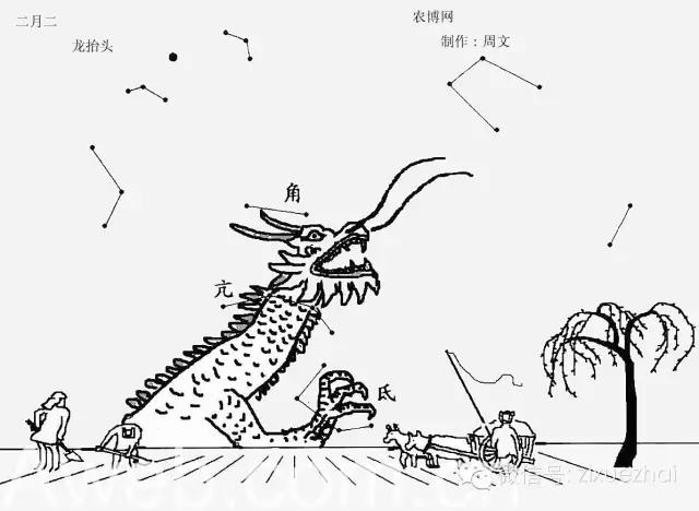 二月二龙抬头怎么给小孩子剃头呢,为什么正月剪头死舅舅