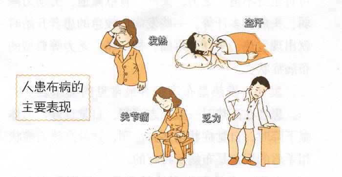 布鲁氏菌病检疫的常用方法是,布鲁氏菌病诊断金标准是什么