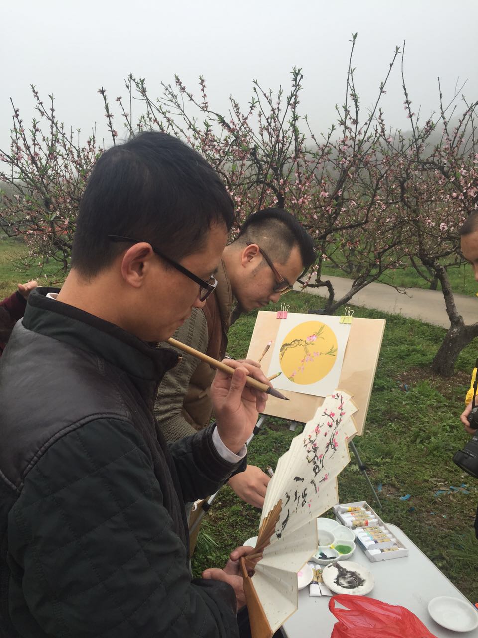 郴州桂阳油菜花,郴州桂阳油菜花开迎客来