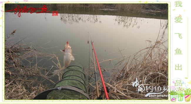2016之我爱飞鱼觅得好钓点