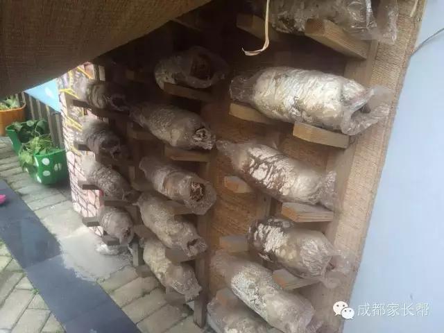 成都温江公益幼儿园,成都比较好的公立幼儿园