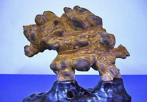 你分得清吗是梦还是现实,你分得清吗文字背景图