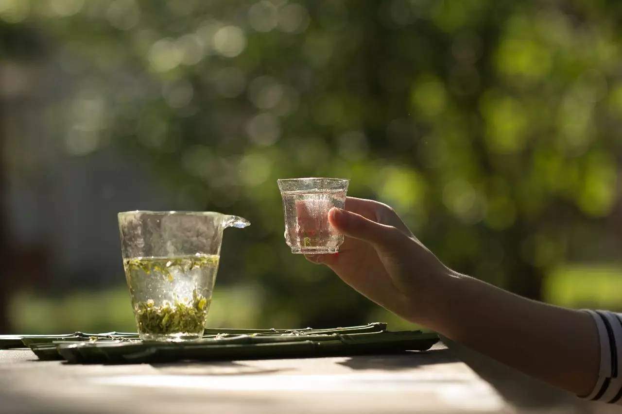 仓顺南糯白毫价格,南糯白毫是绿茶吗