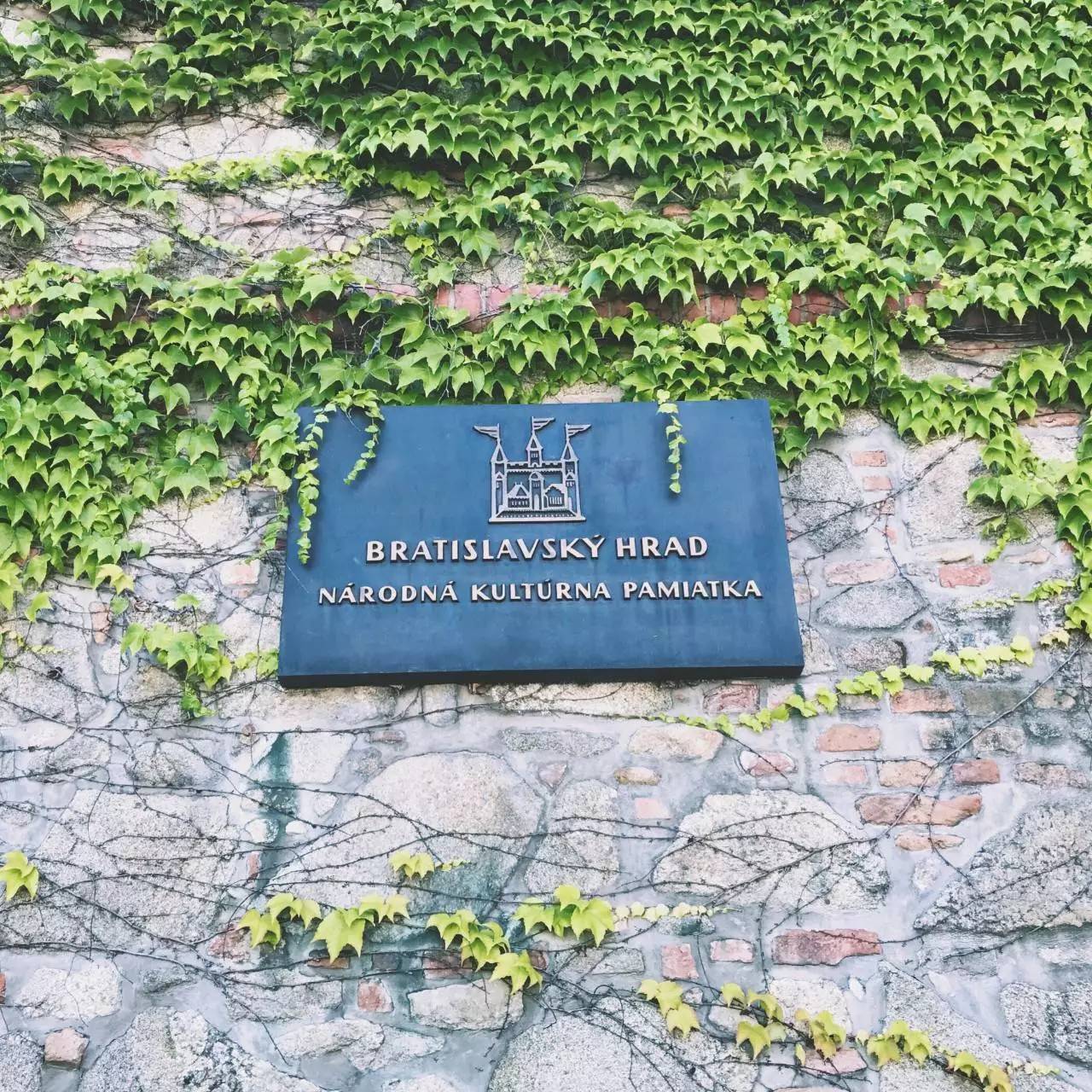 我生活在妙不可言的等待中,我们的生活在妙不可言的等待中