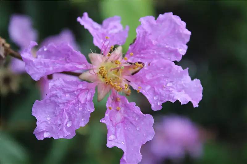 淇澳岛亲子游,一天时间玩转珠海淇澳岛