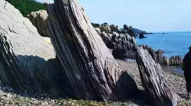 金普新区自驾游攻略,金普新区旅游攻略一日游