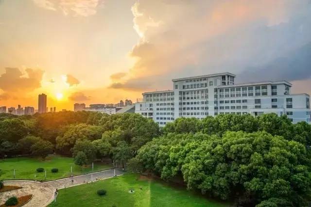 华中师大光谷学校,华中师大