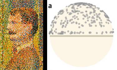 单细胞测序数据分析教程,单细胞测序的数据分析