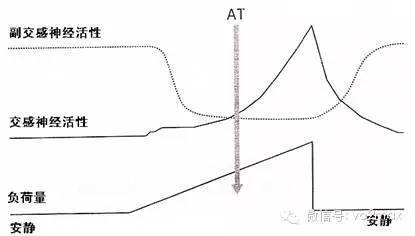 cpet心肺功能运动试验,心肺运动试验检查多少钱