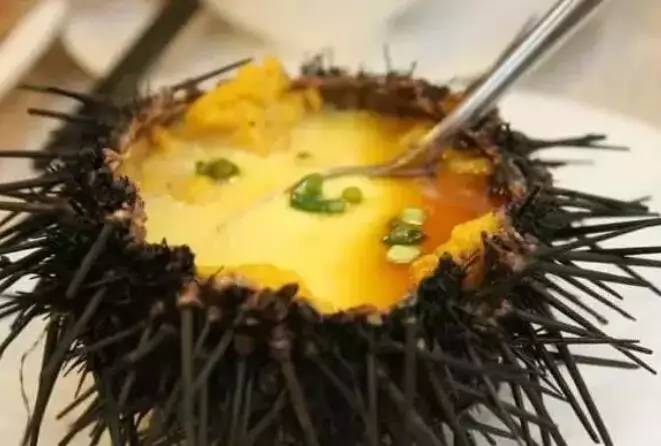 深圳市内伶仃岛,深圳坐船可以去哪些小岛