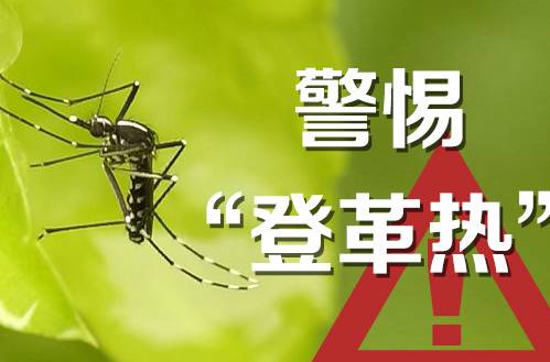 怎么知道登革热症状,介绍一下登革热病