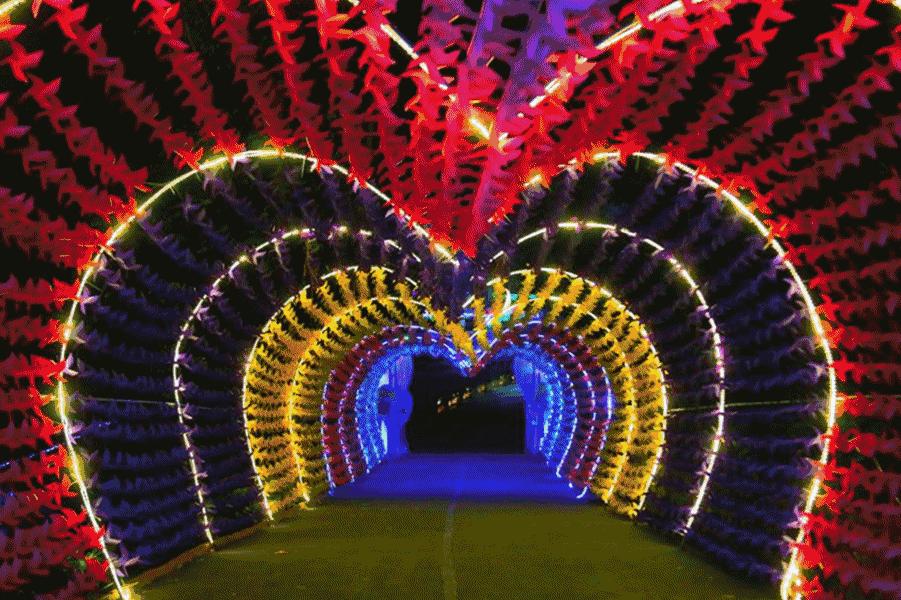 观音山暑期夏令营机构,观音山旅游攻略亲子游