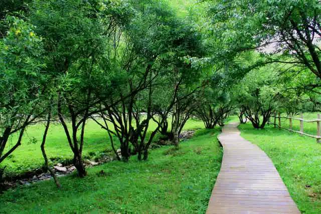 我的青春去旅游,我的青春我做主全集免费