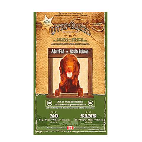 狗中美男子德牧,阿富汗猎犬最有气质的狗