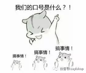 上新品必须要囤货吗,上新必买的店