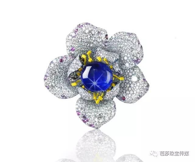 世界最大黑色星光蓝宝石多少钱,世界最顶级的星光蓝宝石