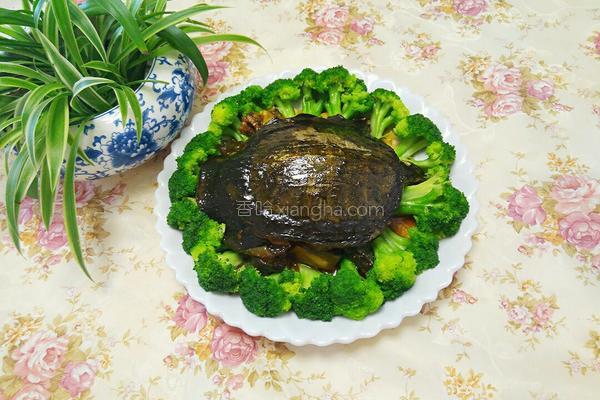 红烧甲鱼,红烧甲鱼炖鸡的做法