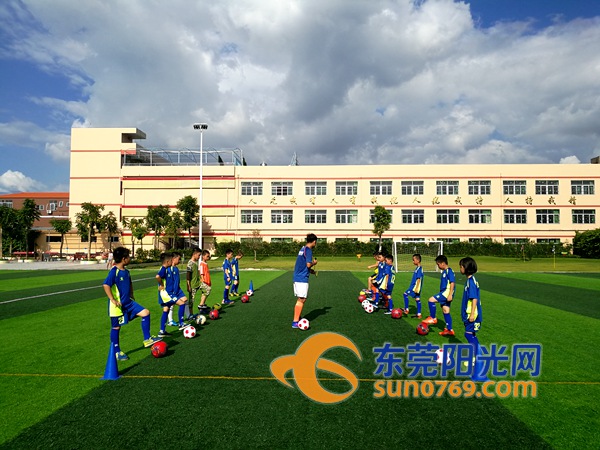 谢岗儿童兴趣培训,谢岗青少年篮球培训