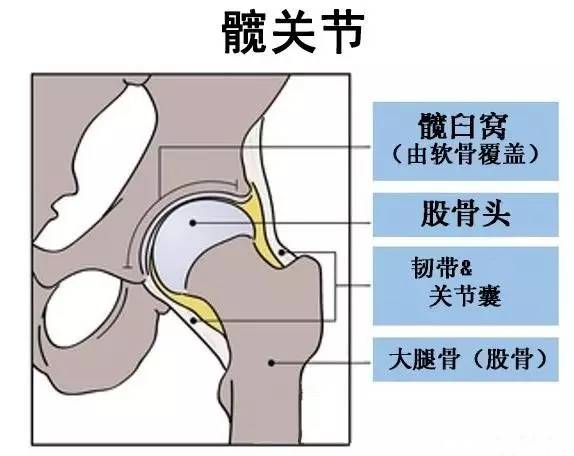 初中孩子腿不直怎么矫正腿型,17岁孩子腿不直怎么矫正
