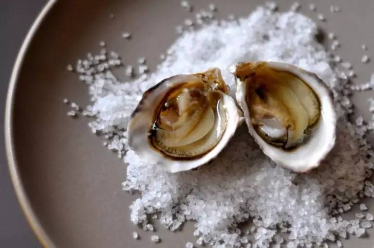 贝隆生蚝,贝隆生蚝和吉拉多生蚝哪种好