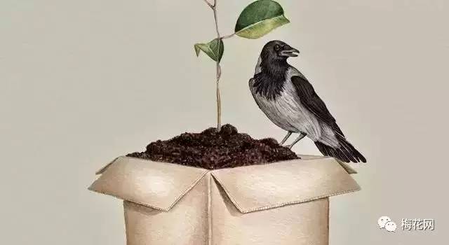 微信公众号长图怎么排版,苹果电脑微信公众号编辑排版