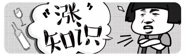 外交专用酒,涨知识国际品牌