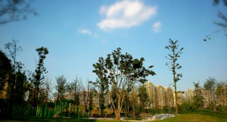 成都周边徒步健身绿道,成都绿道骑行公园