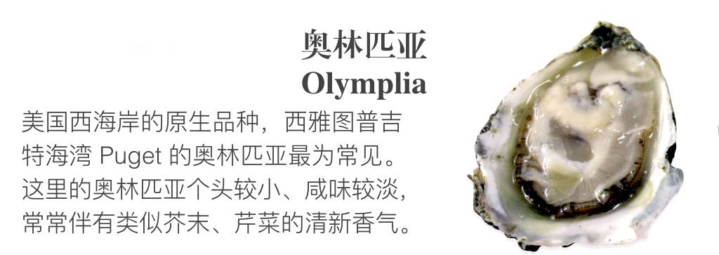 贝隆生蚝,贝隆生蚝和吉拉多生蚝哪种好