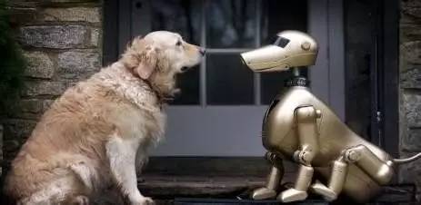 D236-两个子宫的不同命运