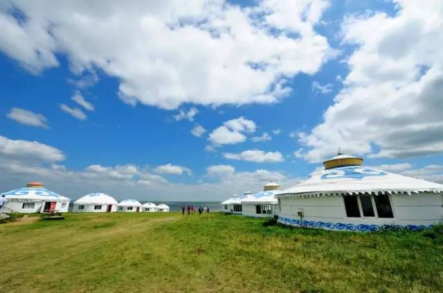 对不起，我去草原了，别再找我了……