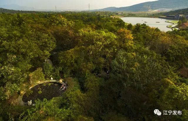 山水有清音银壶,山水有清音