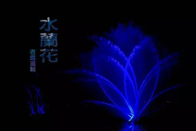 大连东港音乐喷泉图片高清,大雁塔音乐喷泉水舞光影