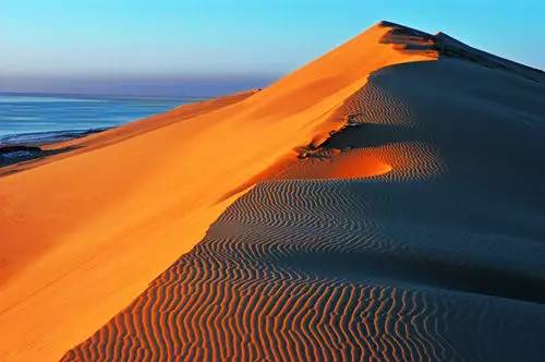 秦皇岛适合带狗去的地方,北戴河的民宿带狗的可以去吗