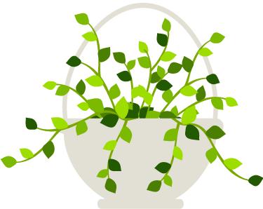 入门级留学申请干货留学小白必看,攻略必备干货知识分享